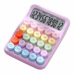 Calculadora Portatil 12 Digitos (pilha Aaa) Ref. Ak-j018 Roxo